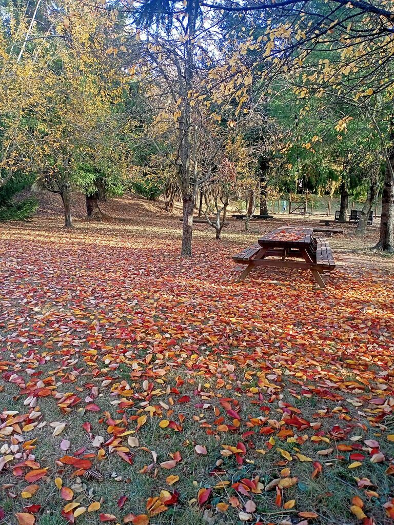 El jardí de Mas Vilarmau cobert per una catifa de fulles vermelles i daurades
