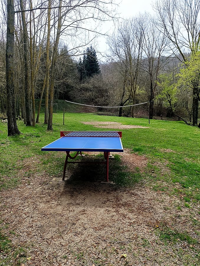 Ping-pong al bosc