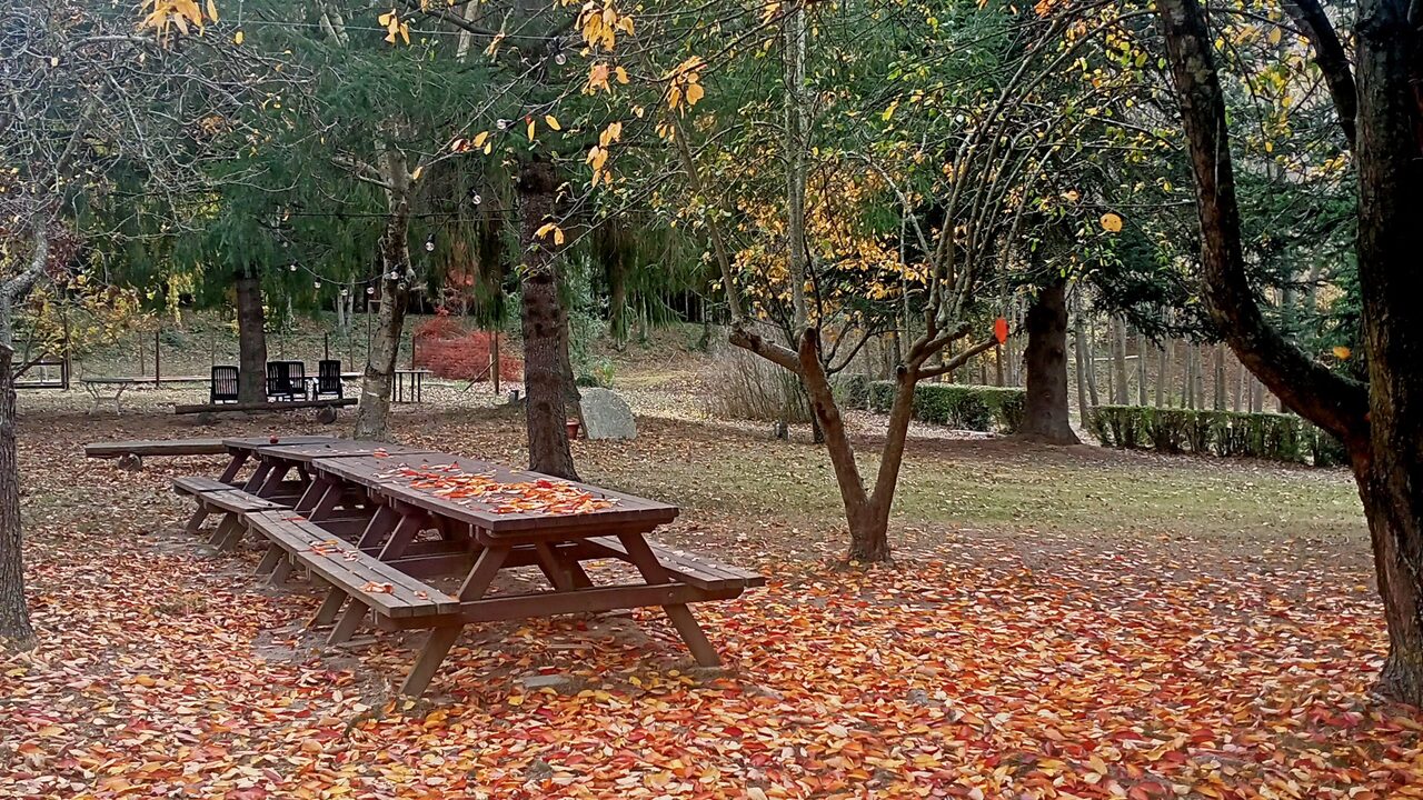 El jardín de Mas Vilarmau en otoño, con las mesas de pícnic y una alfombra de hojas ocres y doradas